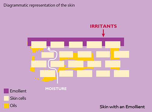 Skin with an emollient on